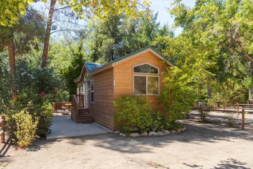 Adorable Little Cabin #21 كيرنفيل المظهر الخارجي الصورة